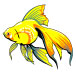 Goldfish Notepad
